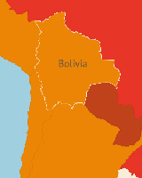 Remote Election Mission for Bolivia