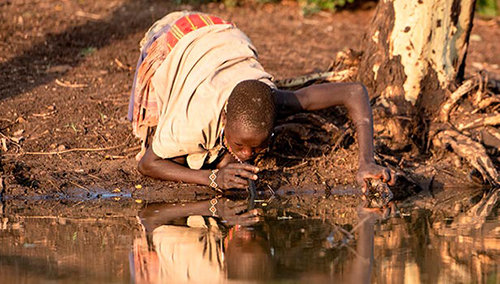 Carter Center and Neglected Tropical Diseases