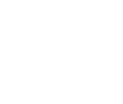 carter center logo